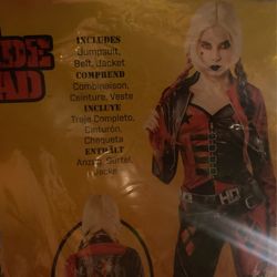 Harley Quinn Costume 