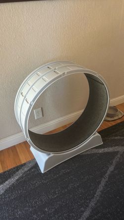 Cat exercise wheel