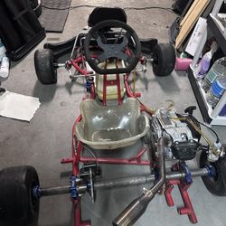 Birel Kart With Predator Ghost 262
