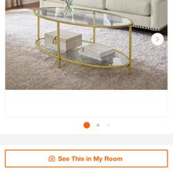 Home Decorators Collection Bella Large Oval Gold Metal and Glass Coffee Table with Shelf (46 in. W x 18 in. H