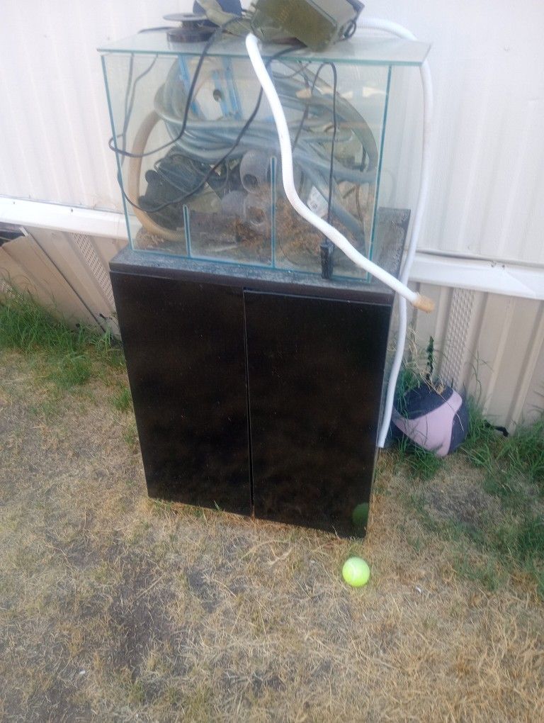 Fish Stuff