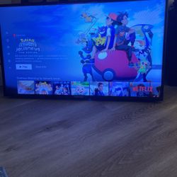 45 Inch Flat Screen