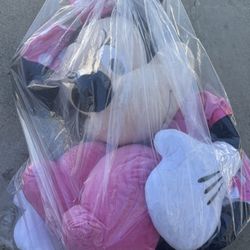 Big Disny minnie mouse