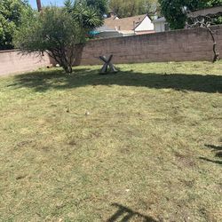 Garden Landscaping