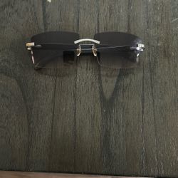 Cartier Buffalo Horn Sunglasses