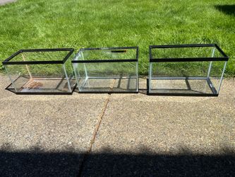 Terrarium (Left) Only 