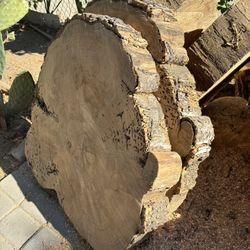 Tree Stump/Trunk For Table Top (Approx: 3FT x 3FT x 6” Or 12” Thk) - $150ea