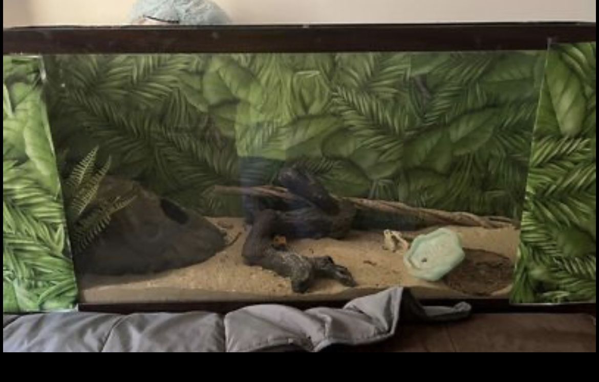 60 Gallon Tank