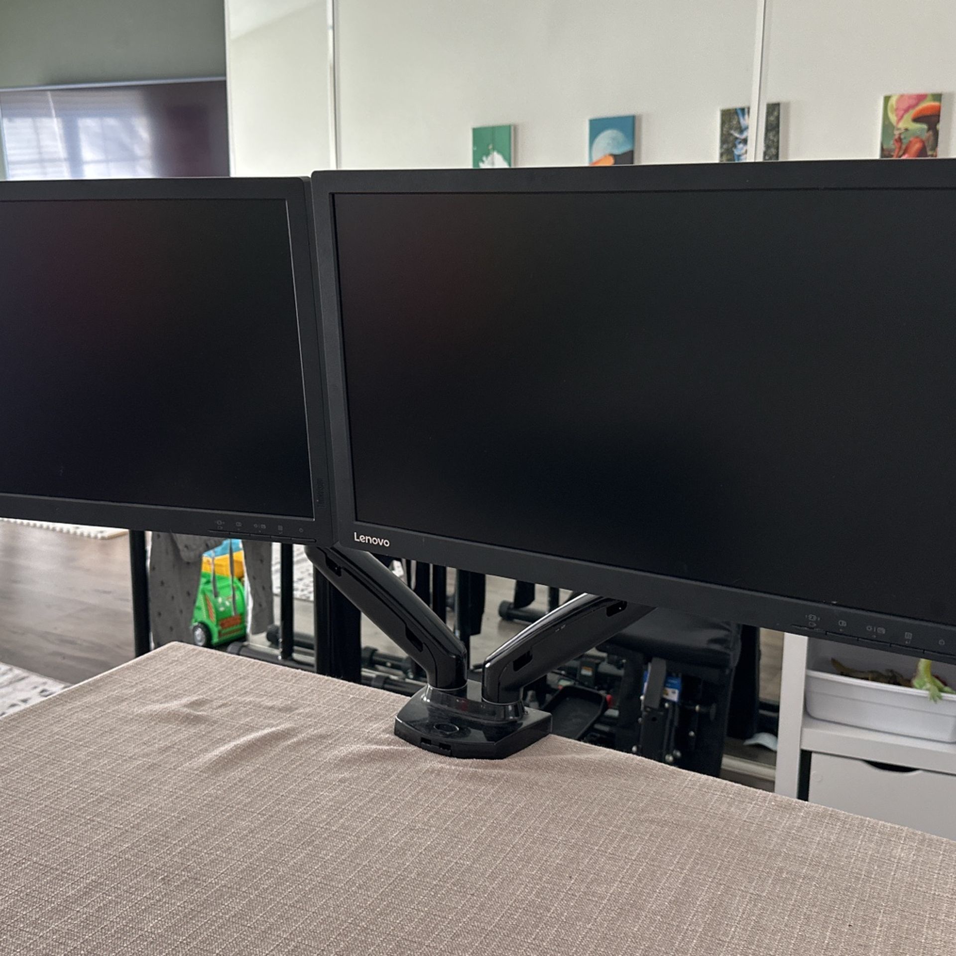 Lenovo 21.5” LED Dual Monitor With Mount