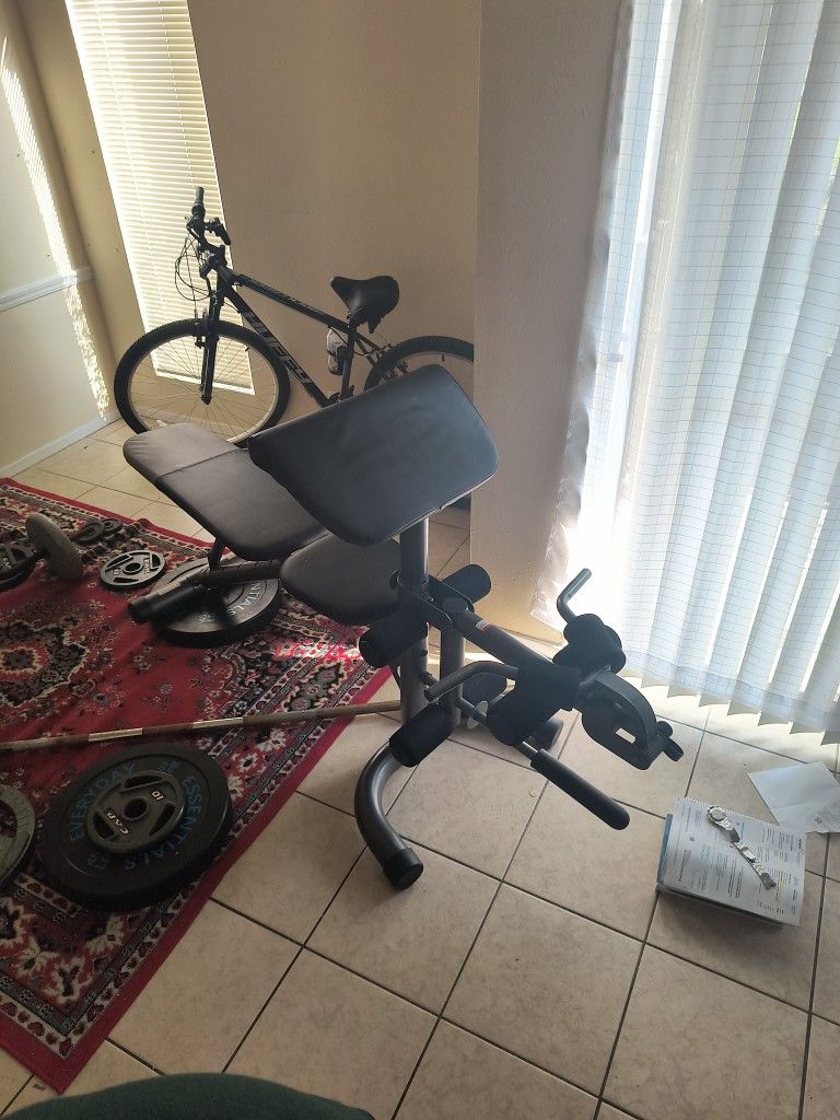 Weight Bench