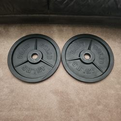 45lb Olympic plates