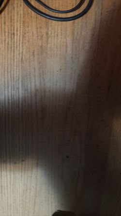 Y