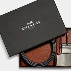 Coach Belt