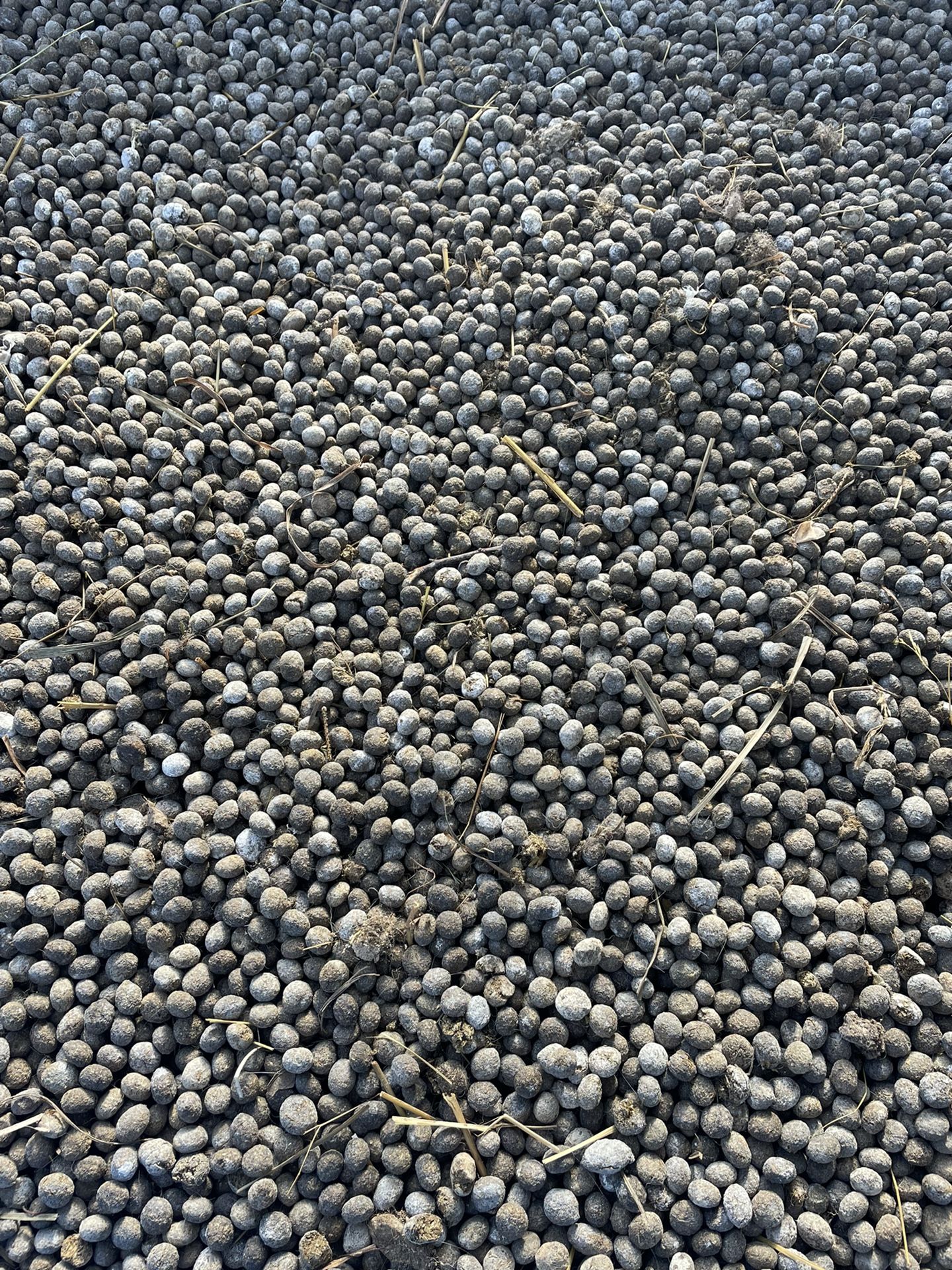 Dry Rabbit Fertilizer