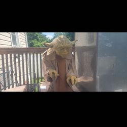 Are Human Size Yoda