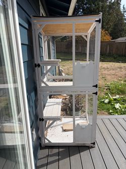Catio