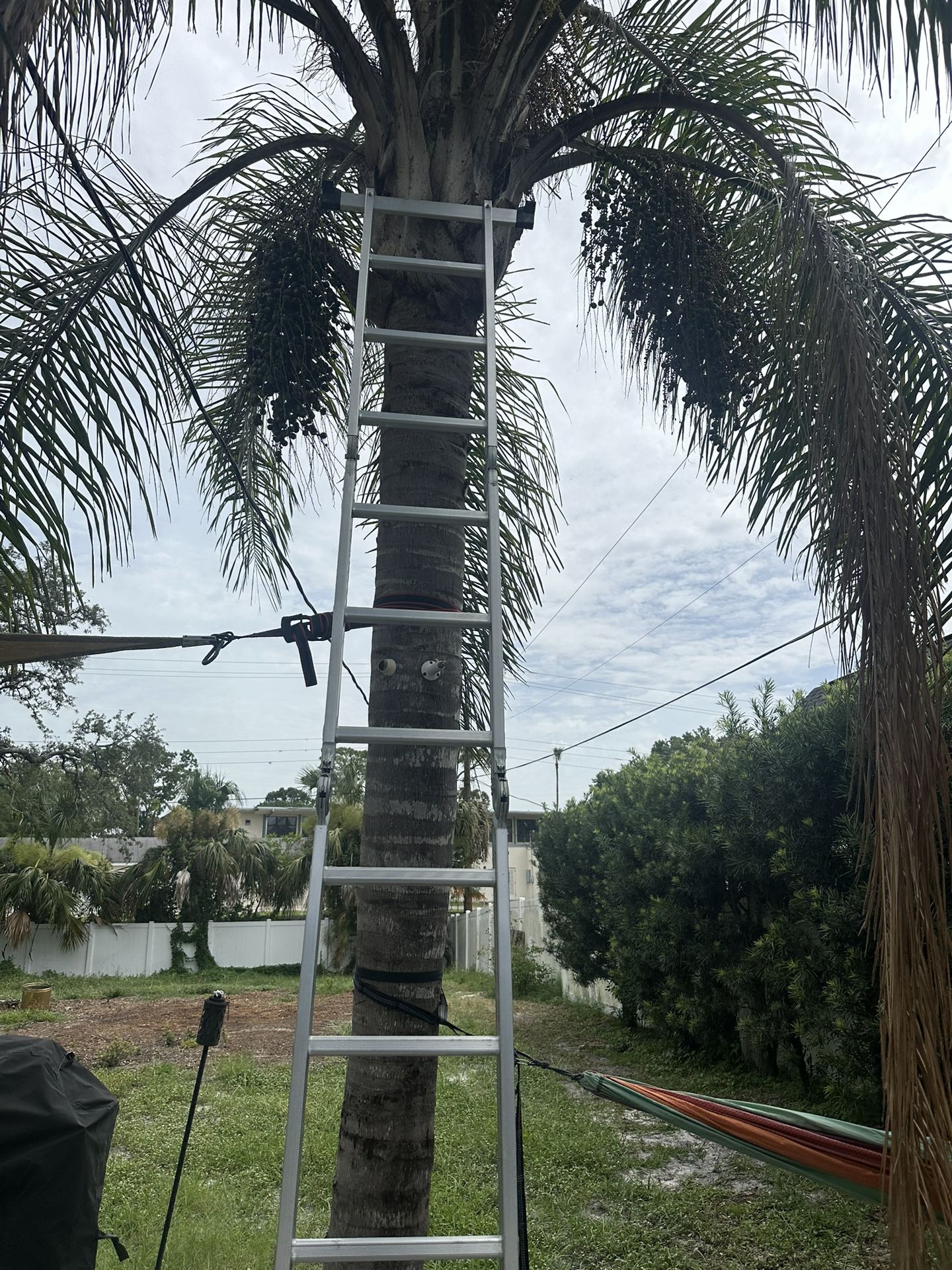 Foldable Ladder