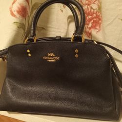 Coach Mini Lillie Carryall 