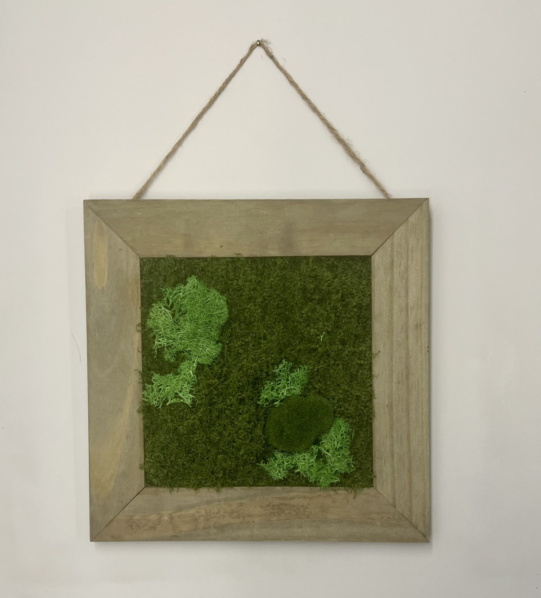 Moss Wall Art Hanging