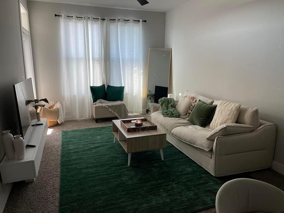 RUG AND COUCH