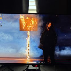OLED Gaming Monitor