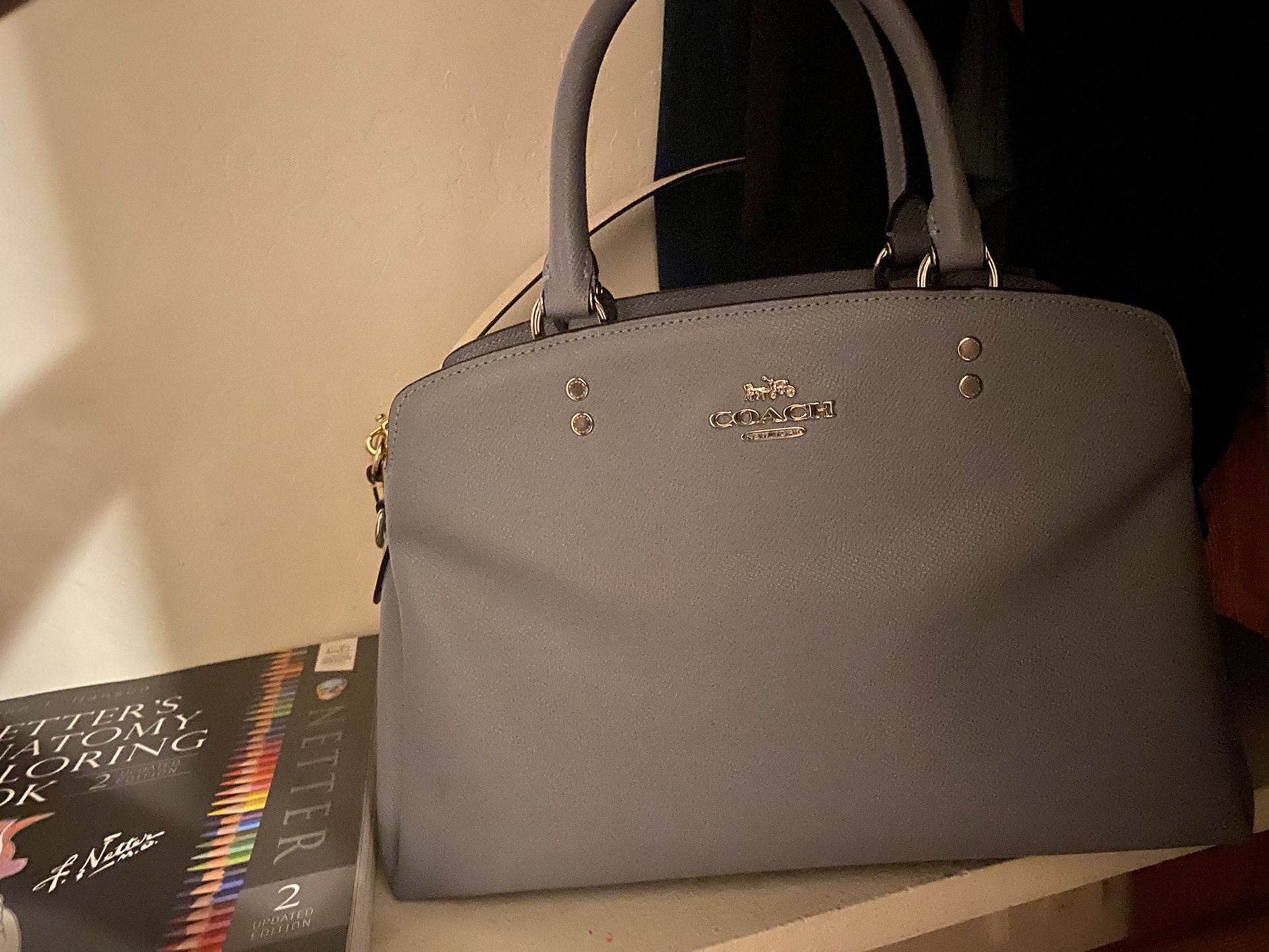 Baby Blue Coach Lillie Carryall