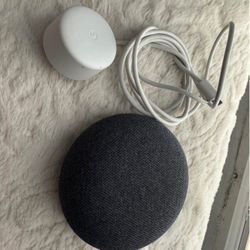 Voice Assistants 