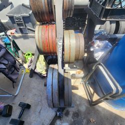 Weights 