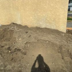 Free Dirt