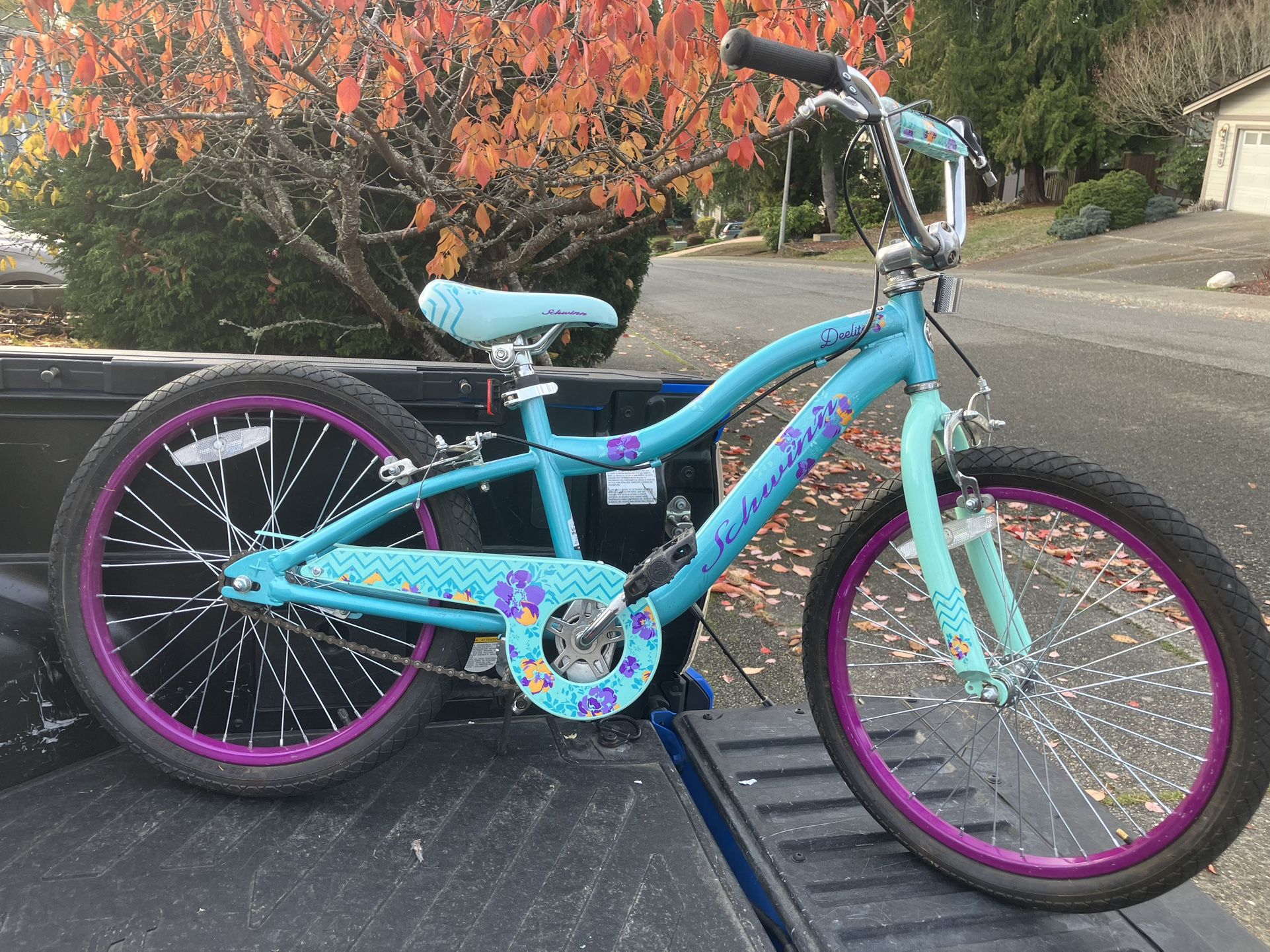 Child Kid Children 20” Wheels Bike Bicycle like New