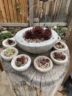 Handmade pots with plants succulents