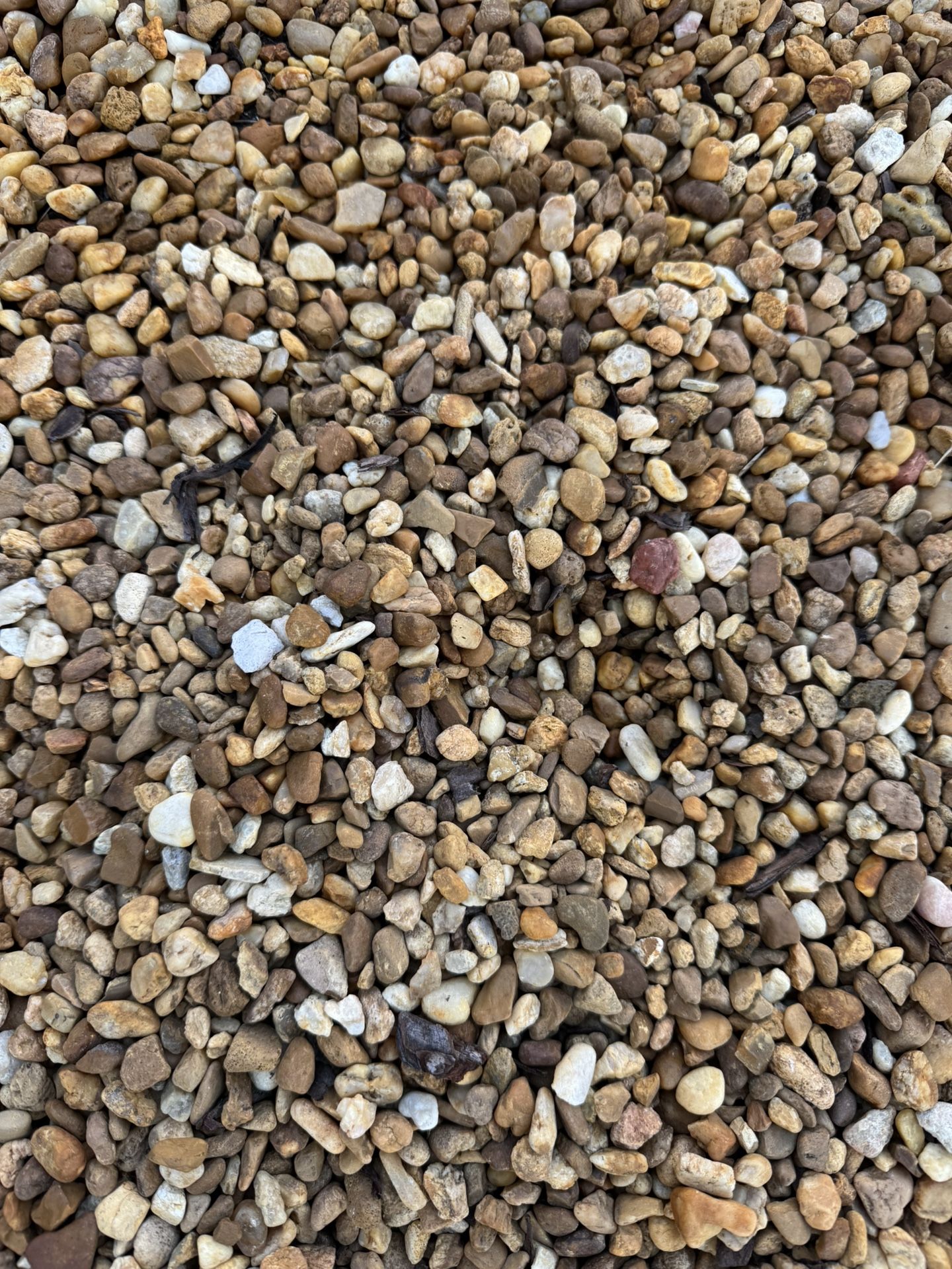 FREE ROCK