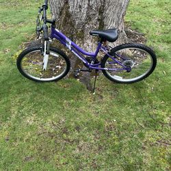 24” mountain bike (like new)