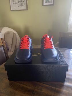 NIKE KOBE 5 PROTRO CAITLIN CLARK INDIAN FEVER SIZE 10.5