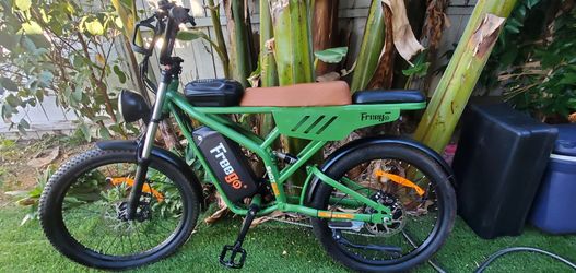 Freego cargo dual seats 48v long range ebike.