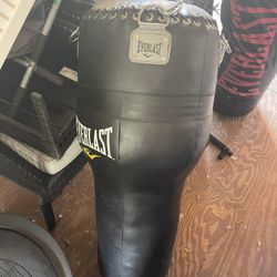 EVERLAST ANGLE HEAVY BAG