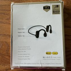 Bluelisten V5.2 Headphones 