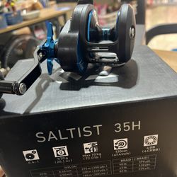 Daiwa Saltist 35H