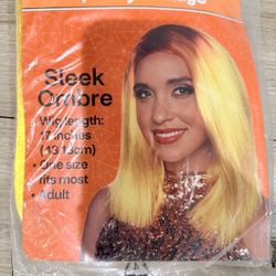 Sleek Ombré Wig