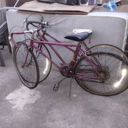 Schwinn Old School Bike