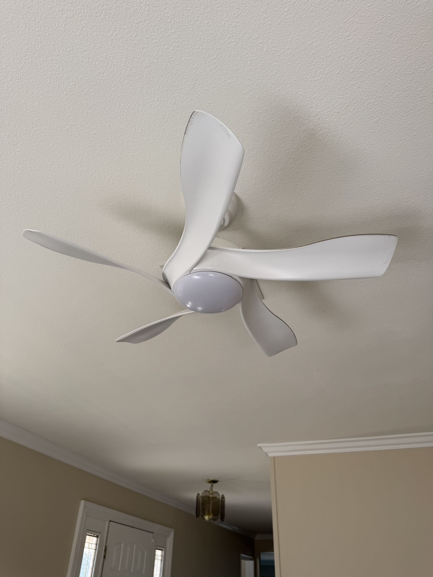 (3 - Brand NEW) 36 Inch Ceiling Fans with Lights Remote/APP Control, 2 Downrods Flush Mount Ceiling Fans with Reversible 5 Curved Blades