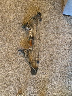 Compound bow