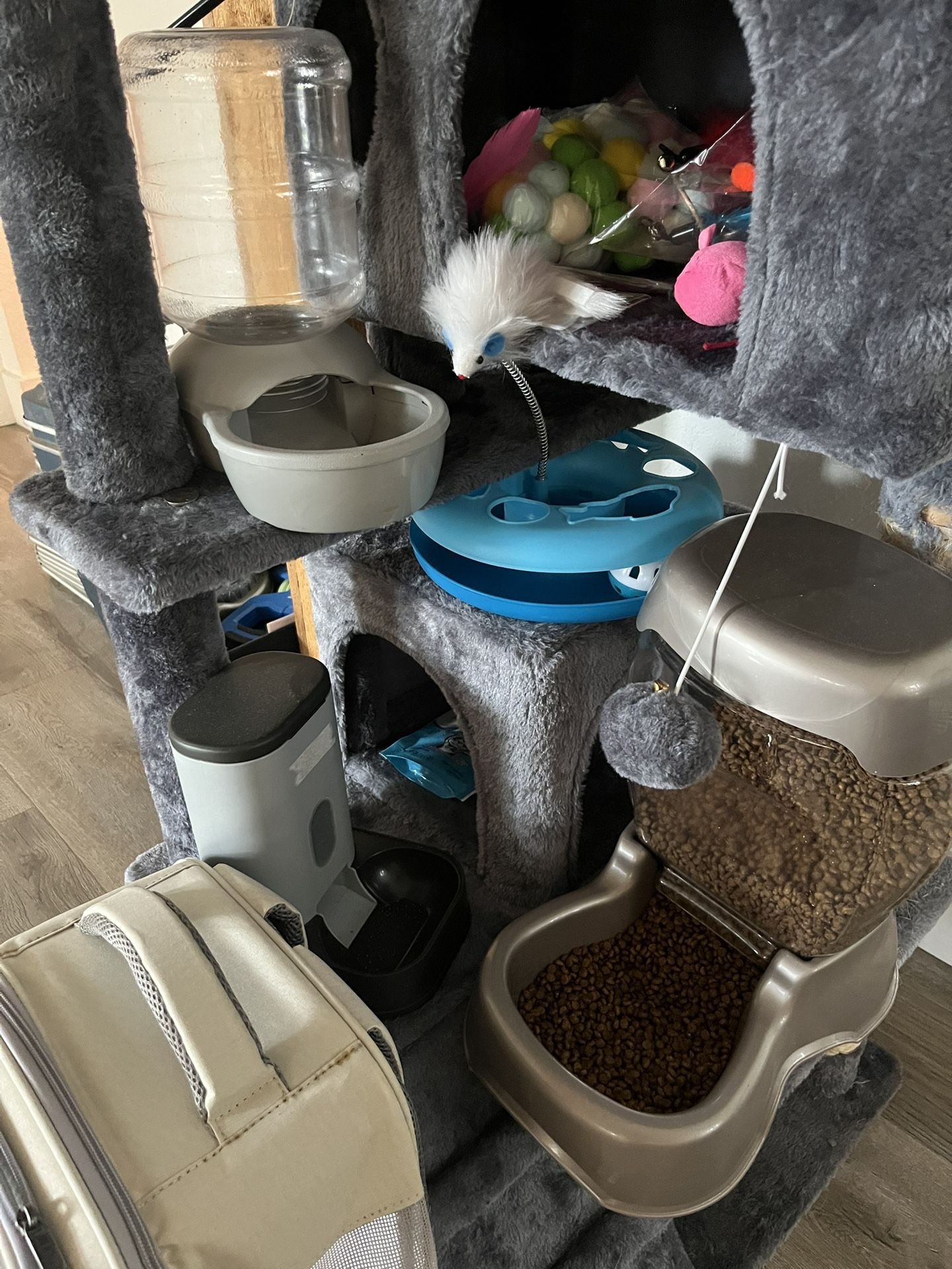 Cat Tree, Toys, Feeder, Carriers, Pee Pads
