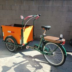 Heavy Duty Cargo Trike