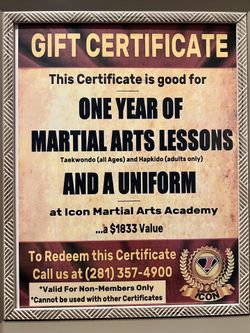 A one-year membership for Taekwondo or Hapkido
