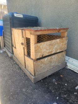 Wooden chicken coop