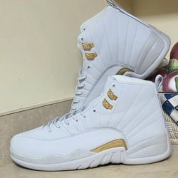 Air Jordan 12