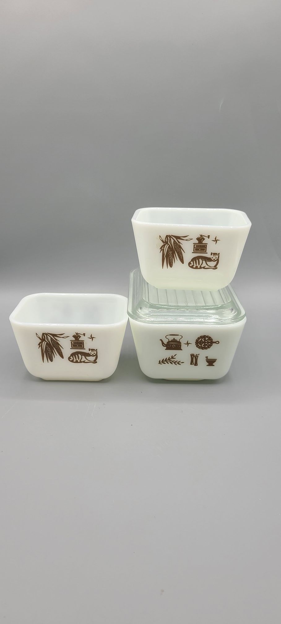 Vintage Pyrex refrigerator dishes in Early American pattern
