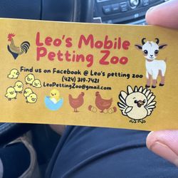 Mobile Petting Zoo Experience