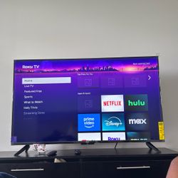 Roku TV (55 Inch)